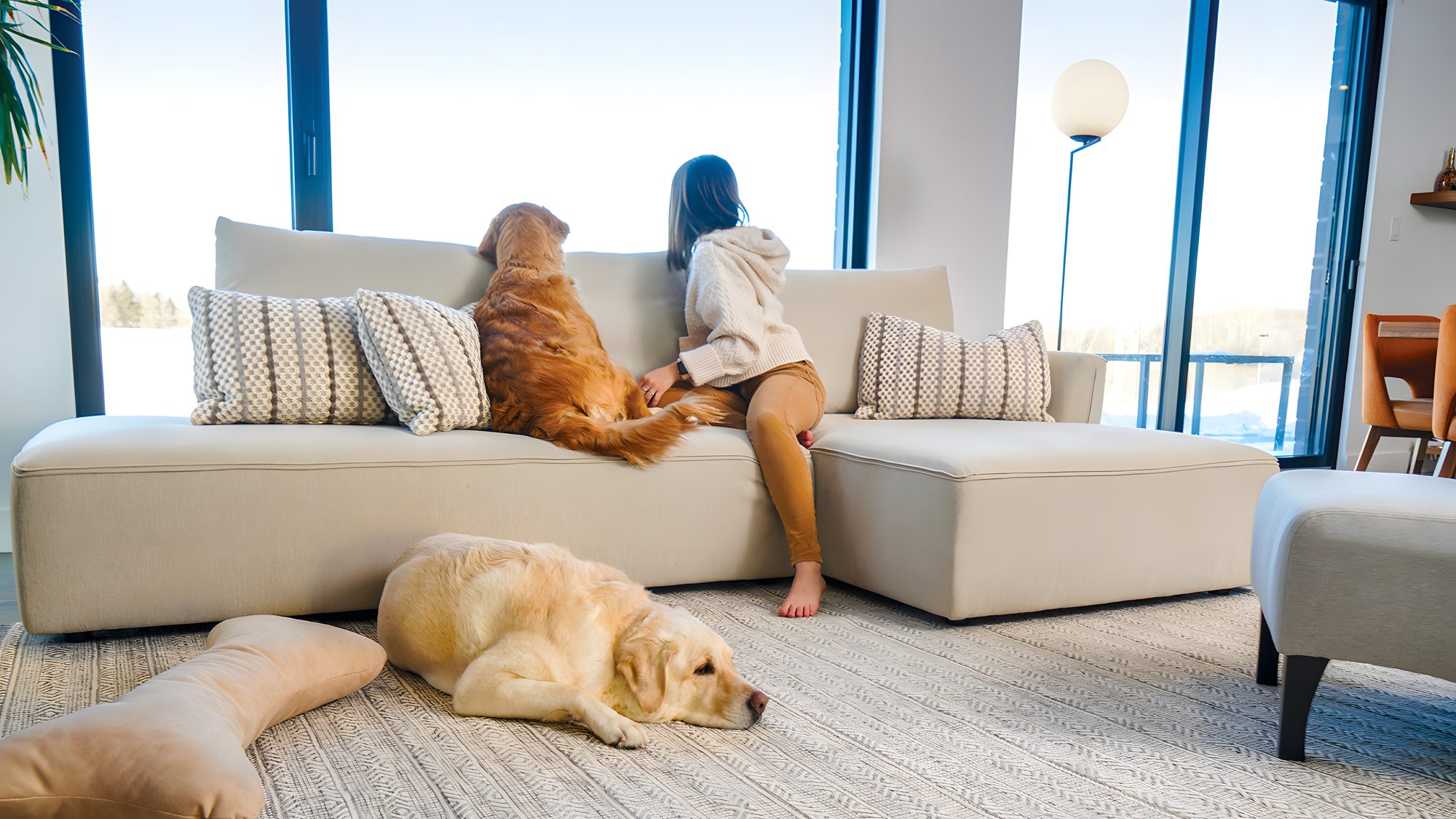Une fillette assise sur un sectionnel William crème devant une grande fenêtre d'hiver, un golden retriever à côté d'elle et un autre couché sur le tapis